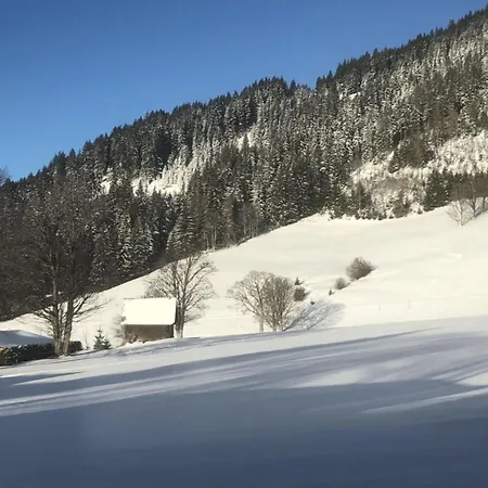 Mountain In Apartment Ramsau am Dachstein